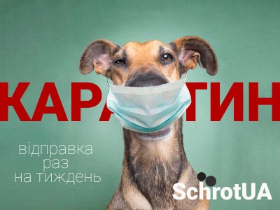 Відправка в період карантину